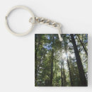 Suche nach kiefer schlüsselanhänger Baum