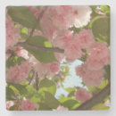 Suche nach kirschbaum untersetzer Natur