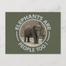 Suche nach nicht zoo postkarten Fotografie