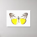 Suche nach girly leinwandbilder Butterfly