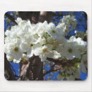 Suche nach weiße blüten mousepads Quelle