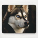 Suche nach schöne hunde mousepads Hundefreund
