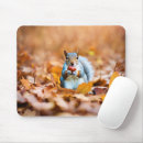 Suche nach eichel mousepads Eichhörnchen