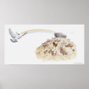 Suche nach noah poster Taube