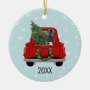 Suche nach cane corso ornamente Hund