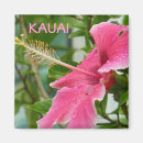 Suche nach tau magnete Rosa