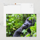 Suche nach uganda postkarten Bwindi