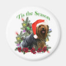 Suche nach yorkie hund magnete Yorkshire