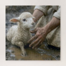 Suche nach lamm puzzle Hirte