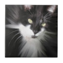 Suche nach tuxedo fliesen Schwarz weiße katze
