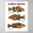 Suche nach tiefseefische poster Angeln