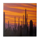 Suche nach saguaro fliesen Landschaftlich