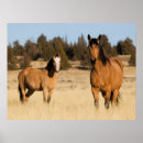 Suche nach ken archer poster Bauernhof
