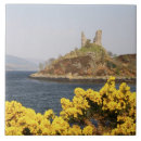 Suche nach alte ruine fliesen Landschaft