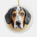 Suche nach die coonhounds ornamente Hundeliebhaber