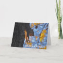 Suche nach lustige eichhörnchen fotos postkarten Tiere