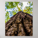 Suche nach perspektive poster Natur
