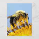 Suche nach newton poster Iowa