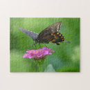 Suche nach rosa schmetterling puzzle Rätsel