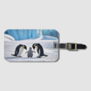 Suche nach pinguin gepäckanhänger Bezaubernd