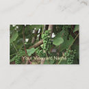 Suche nach trauben visitenkarten Weinrebe