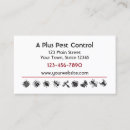 Suche nach ameisen visitenkarten Insekten