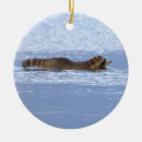 Suche nach waschbär ornamente Tiere