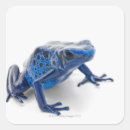 Suche nach frosch party aufkleber Reptil