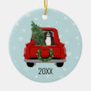 Suche nach berner ornamente Hund