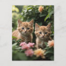 Suche nach zwei tiere postkarten Für sie