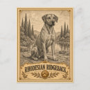 Suche nach vintage hund postkarten Für hunde liebhaber