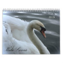 Suche nach schwan kalender Wild lebende tiere