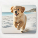 Suche nach labrador welpen mousepads Golden retriever
