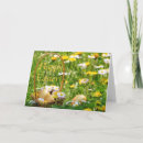 Suche nach goldene eier karten Easter