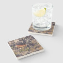 Suche nach eidechsen untersetzer Orange