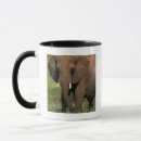 Suche nach loxodonta Afrika