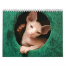 Suche nach sphinx kalender Sphynx