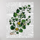 Suche nach vine poster Squash
