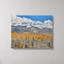 Suche nach aspen leinwandbilder Grove