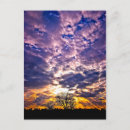 Suche nach goldener baum postkarten Himmel