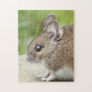Suche nach nagetiere puzzle Mäuse