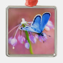 Suche nach blaue schmetterlinge ornamente Gartenarbeit