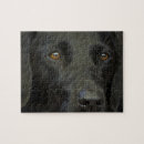 Suche nach schwarzer labrador puzzle Hund