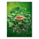 Suche nach grüne farne karten Pilz