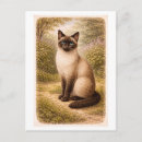 Suche nach siamesische katze postkarten Tier