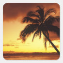 Suche nach maui aufkleber Insel