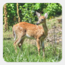 Suche nach verblassen aufkleber Tun