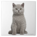 Suche nach britisch fliesen Niedlich