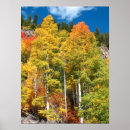 Suche nach fall poster Photography