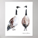 Suche nach kanadische gans poster Kanadengas